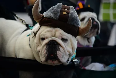 DSC_0413 (Large).JPG